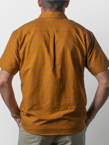 M's DC Daily - Buck Gold/Fish Bone | Duck Camp Everyday