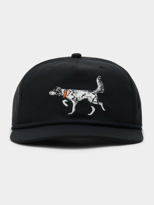 English Setter Hat - Black | Duck Camp Great Value