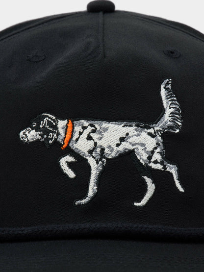 English Setter Hat - Black | Duck Camp Great Value
