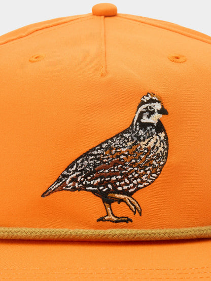 Bobwhite Quail Hat - Blaze | Duck Camp Everyday