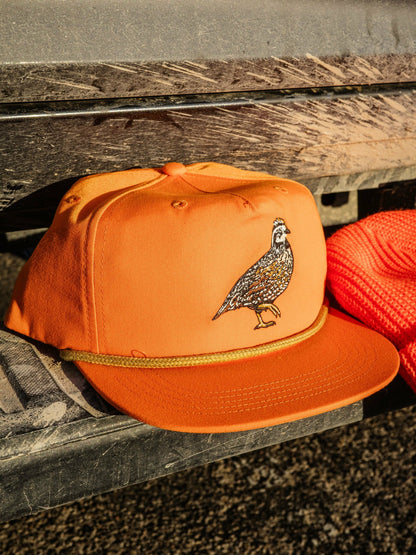 Quail Forever x DC Bobwhite Hat - Blaze | Duck Camp Best Seller